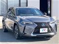 2019 Lexus Other
