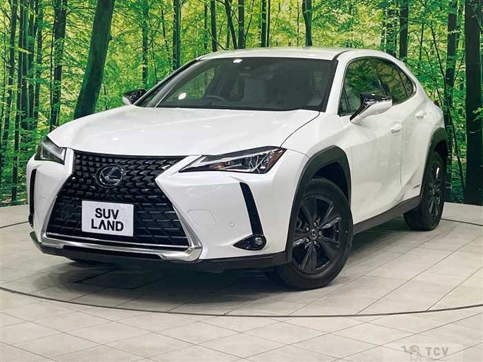 2019 Lexus Other