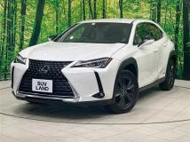 2019 Lexus Other