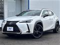 2021 Lexus Other