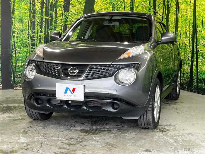 2012 Nissan Juke