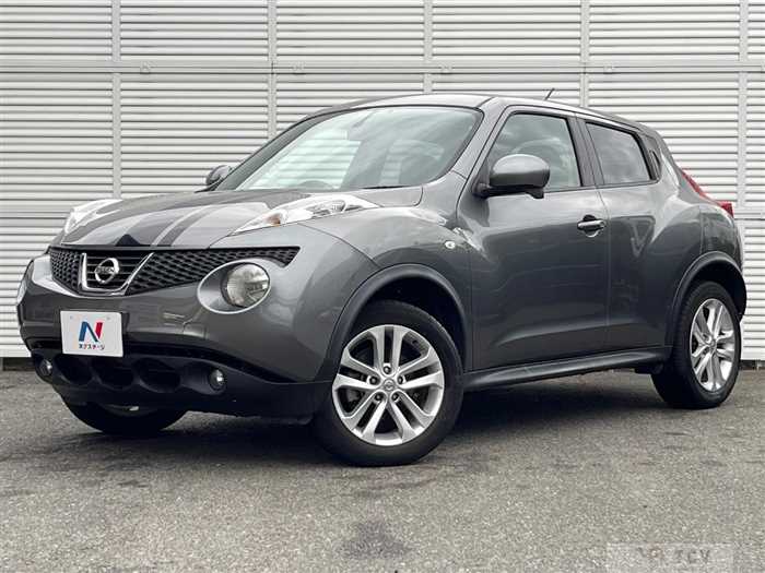 2011 Nissan Juke