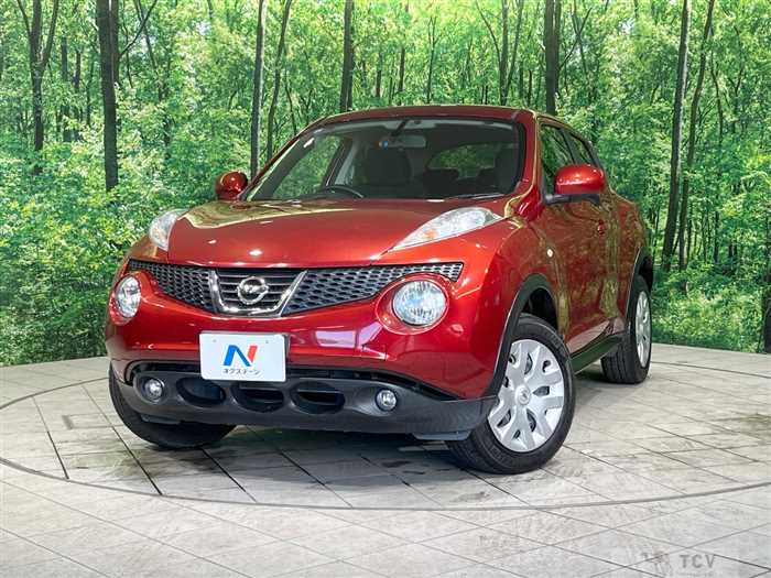 2013 Nissan Juke