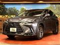 2023 Lexus NX