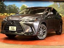 2023 Lexus NX