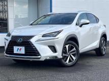 2018 Lexus NX