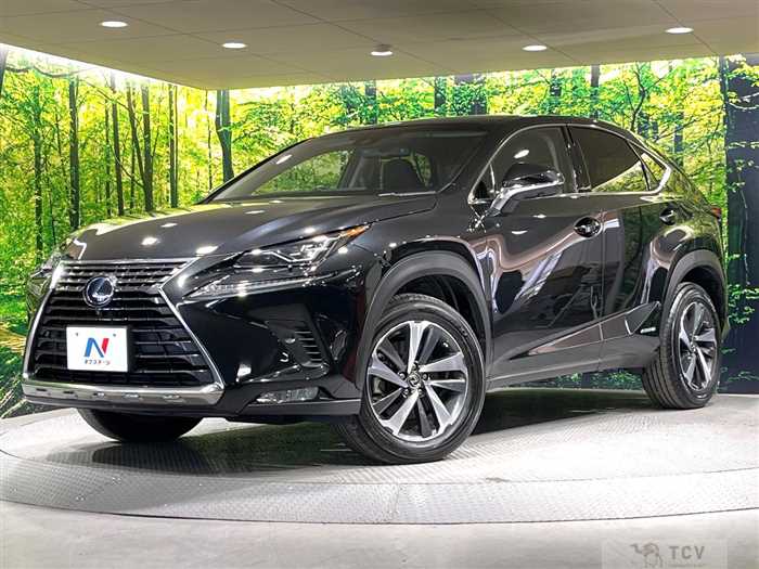 2018 Lexus NX
