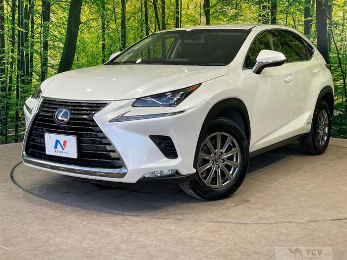 2019 Lexus NX