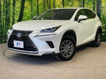2019 Lexus NX