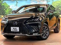 2021 Lexus NX