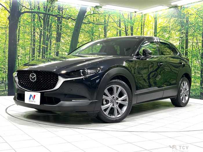 2020 Mazda Mazda Others