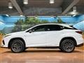 2021 Lexus RX
