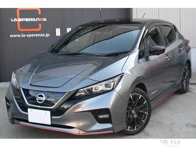 2019 Nissan Nissan Others