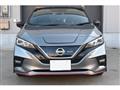 2019 Nissan Nissan Others