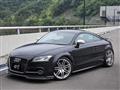 2010 Audi TT