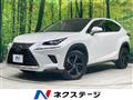 2018 Lexus NX