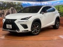 2019 Lexus NX