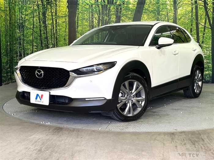 2019 Mazda Mazda Others