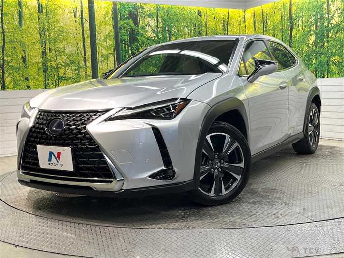 2020 Lexus Other