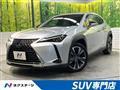 2020 Lexus Other