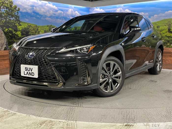 2021 Lexus Other