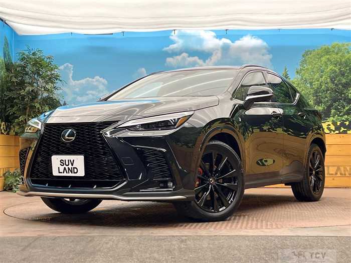 2025 Lexus NX