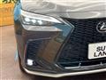 2025 Lexus NX
