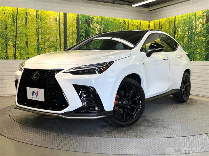 2023 Lexus NX