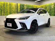 2023 Lexus NX