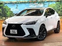 2022 Lexus NX