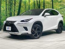 2018 Lexus NX