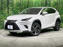 2019 Lexus NX