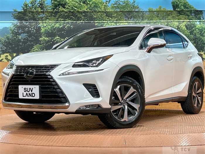 2019 Lexus NX