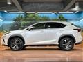 2019 Lexus NX