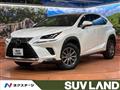 2020 Lexus NX