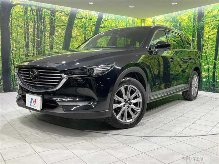 2018 Mazda CX-8