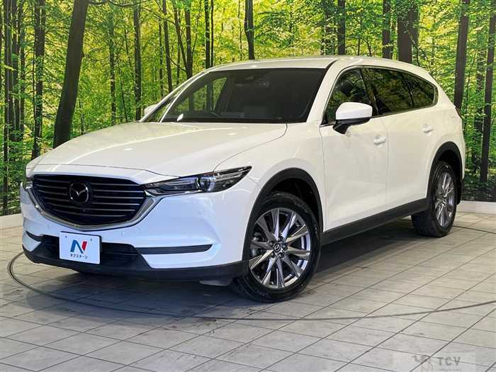2019 Mazda CX-8