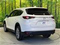 2019 Mazda CX-8