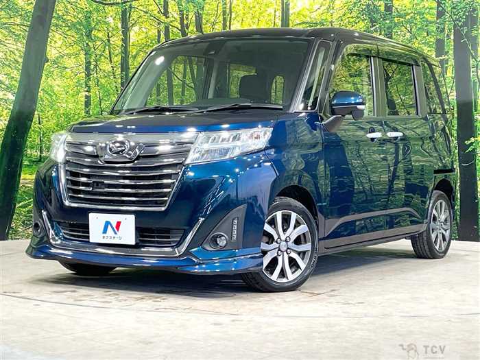 2017 Daihatsu Daihatsu Others