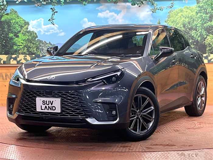 2025 Lexus Other