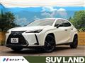 2021 Lexus Other
