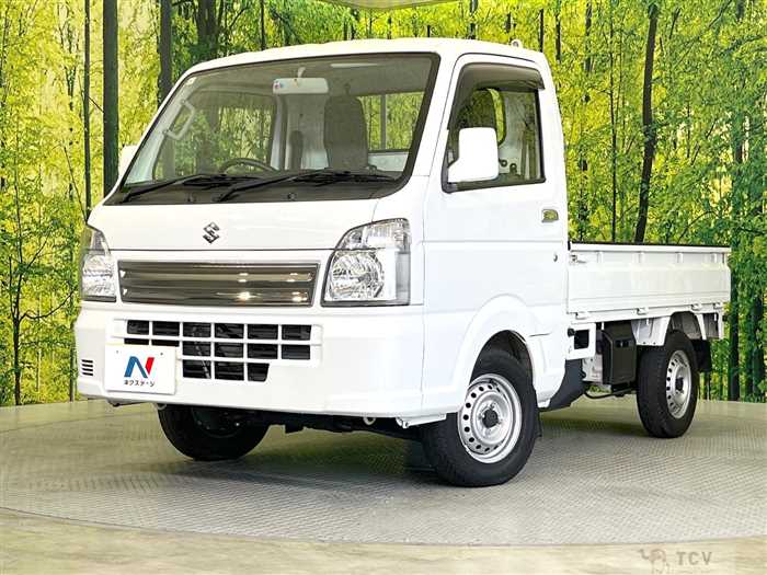 2018 Suzuki Carry Truck