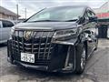 2020 Toyota Alphard G