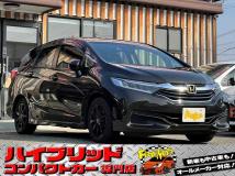 2015 Other All Other All