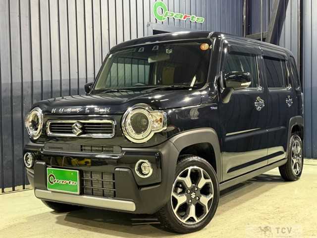 2025 Other All Other All