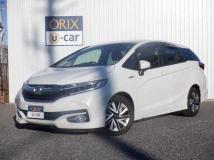 2017 Other All Other All