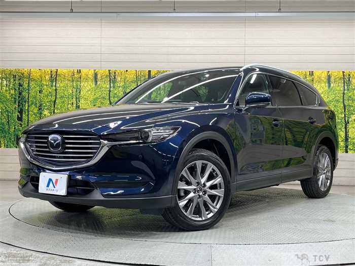 2019 Mazda CX-8
