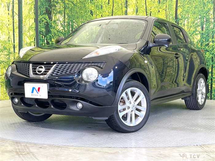 2012 Nissan Juke