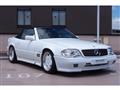 1991 AMG AMG Others