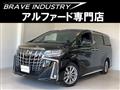 2020 Toyota Alphard G